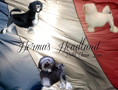Herma's Headland - Exposition Internationale de Rouen