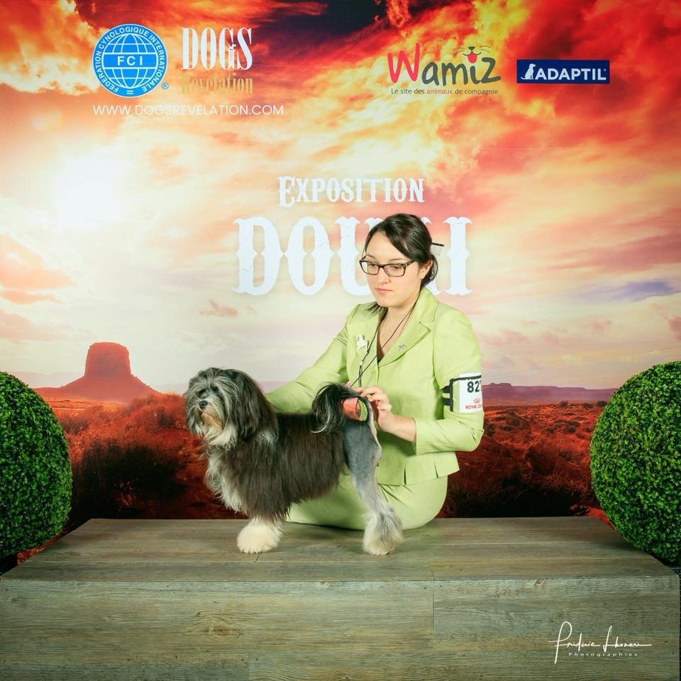 Herma's Headland - Spéciale de race de Douai