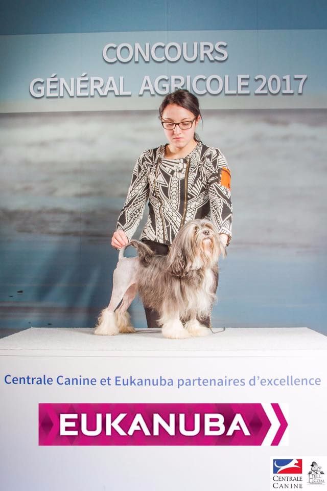 Herma's Headland - Salon de l'Agriculture 2017