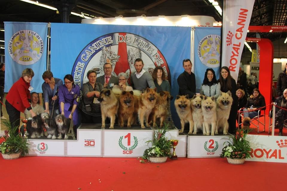 Herma's Headland - Paris Dog Show