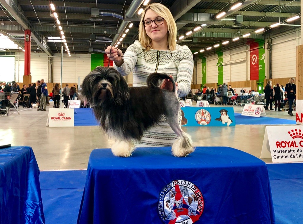 Herma's Headland - Paris Dog Show