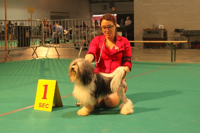 Herma's Headland - Golden Dog Trophy