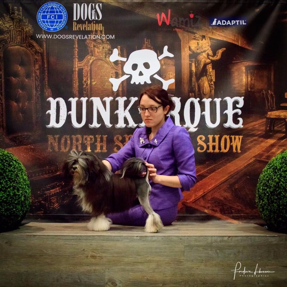 Herma's Headland - North Sea Dog Show